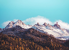 必赢官网——让每一次下注都充满信心的选择